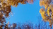IMG_20171016_102933.jpg