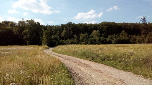 Ostatní